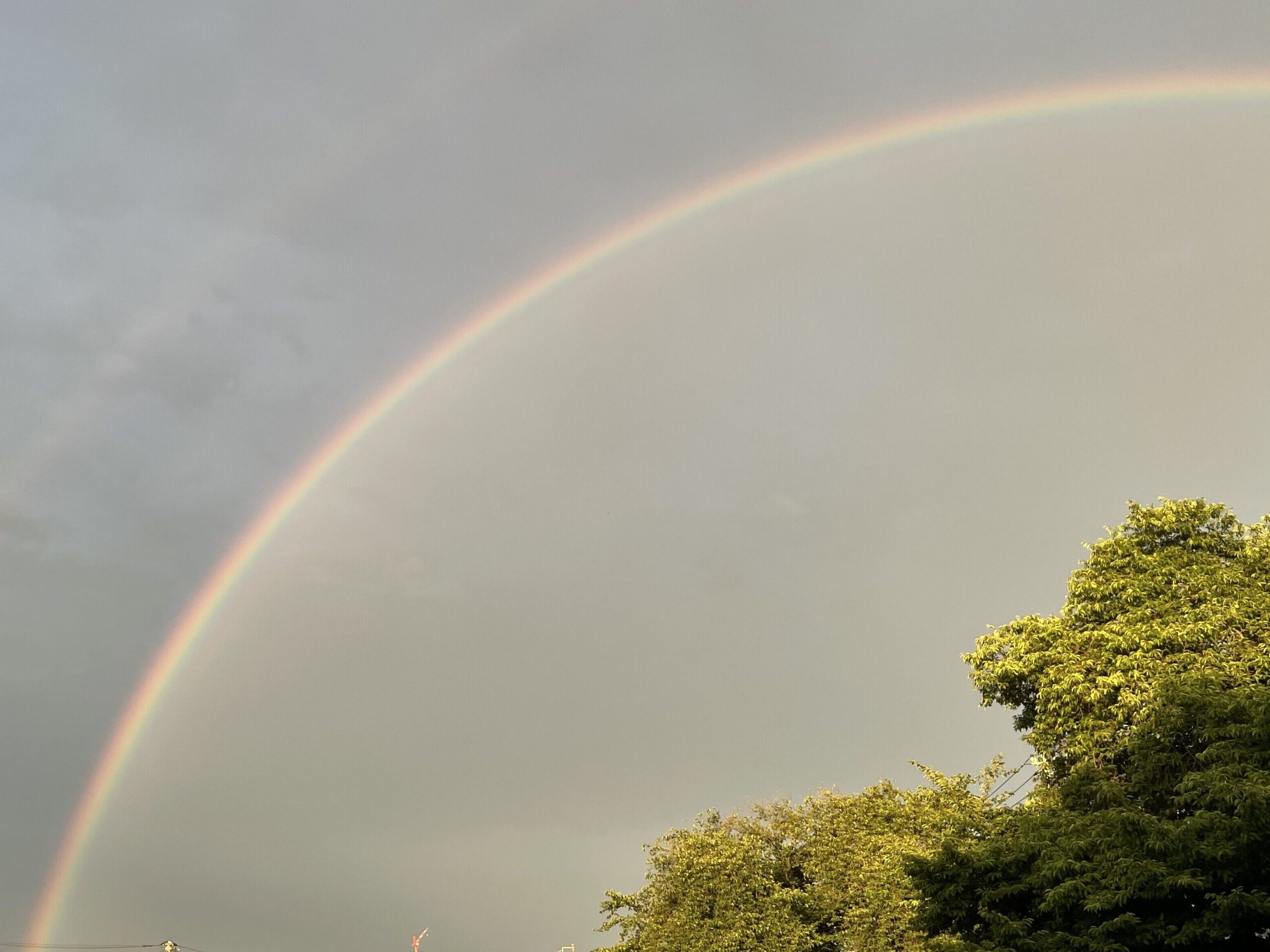 雨上がりの空にかかる虹(カウンセリングを受けた後の希望のイメージ)
