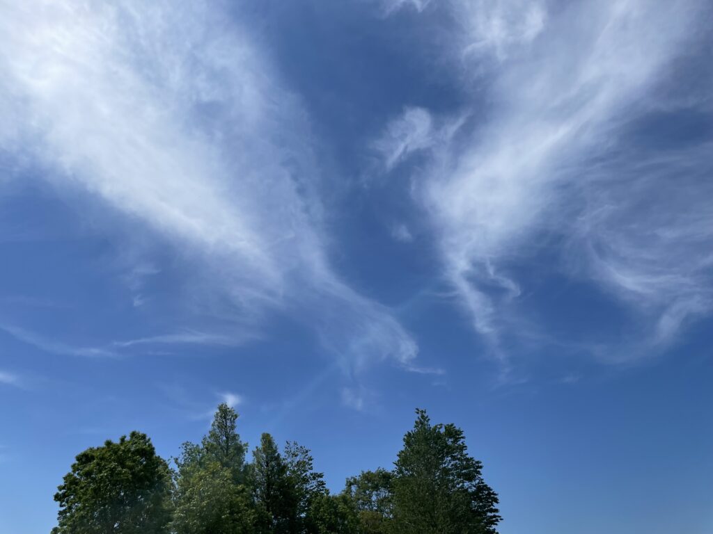 こころリセットのカウンセリングを象徴する癒しの風景